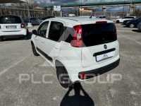 2017 Fiat Panda
