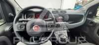 2017 Fiat Panda
