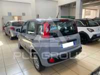 2018 Fiat Panda