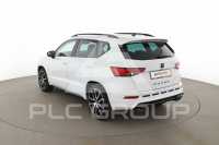 2019 Cupra Other