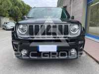 2019 Jeep Renegade