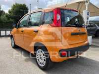 2019 Fiat Panda
