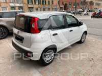 2019 Fiat Panda