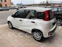 2019 Fiat Panda