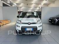 2019 Fiat Panda