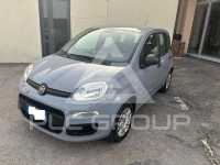 2019 Fiat Panda