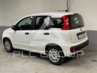 2019 Fiat Panda