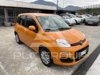 2019 Fiat Panda