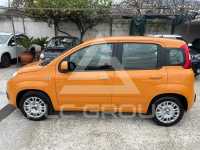 2019 Fiat Panda