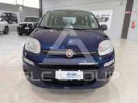 2019 Fiat Panda