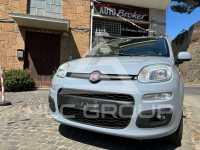 2019 Fiat Panda