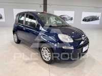 2019 Fiat Panda
