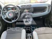 2019 Fiat Panda