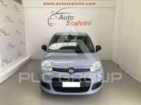 2019 Fiat Panda