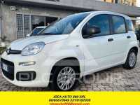 2019 Fiat Panda