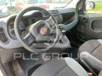 2019 Fiat Panda