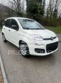 2019 Fiat Panda