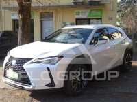 2019 Lexus UX