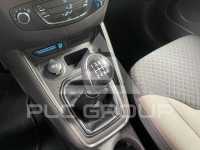 2019 Ford Tourneo