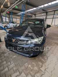 2020 Cupra Other