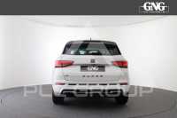 2020 Cupra Other