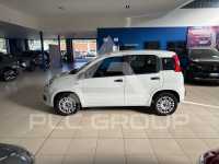 2020 Fiat Panda