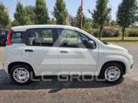 2020 Fiat Panda