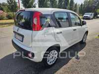 2020 Fiat Panda