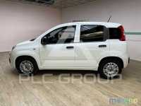 2020 Fiat Panda