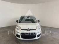 2022 Fiat Panda