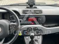 2020 Fiat Panda