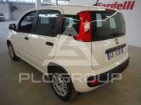 2020 Fiat Panda