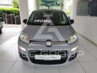2020 Fiat Panda