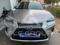 2020 Lexus NX
