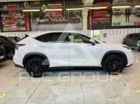 2020 Lexus NX