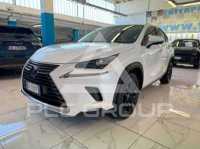 2020 Lexus NX