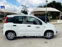 2021 Fiat Panda