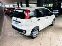 2021 Fiat Panda