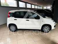 2021 Fiat Panda
