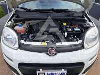 2021 Fiat Panda