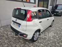 2021 Fiat Panda