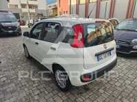 2021 Fiat Panda