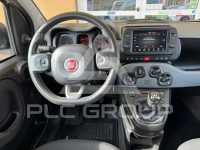 2021 Fiat Panda