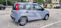 2021 Fiat Panda