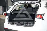 2021 Lexus NX