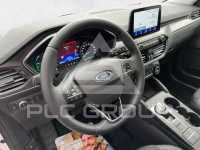 2021 Ford Kuga