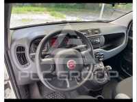 2022 Fiat Panda