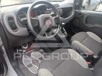2022 Fiat Panda