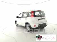 2022 Fiat Panda