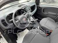 2022 Fiat Panda